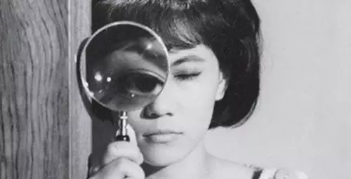 我的老婆是知識產(chǎn)權律師