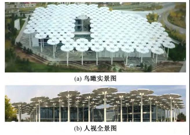 北京世園會(huì )的專(zhuān)利差點(diǎn)因新聞“搶先看”被駁回？