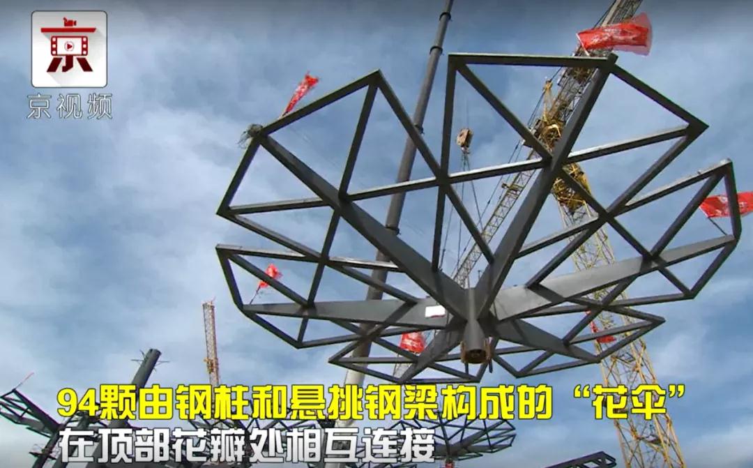 北京世園會(huì )的專(zhuān)利差點(diǎn)因新聞“搶先看”被駁回？