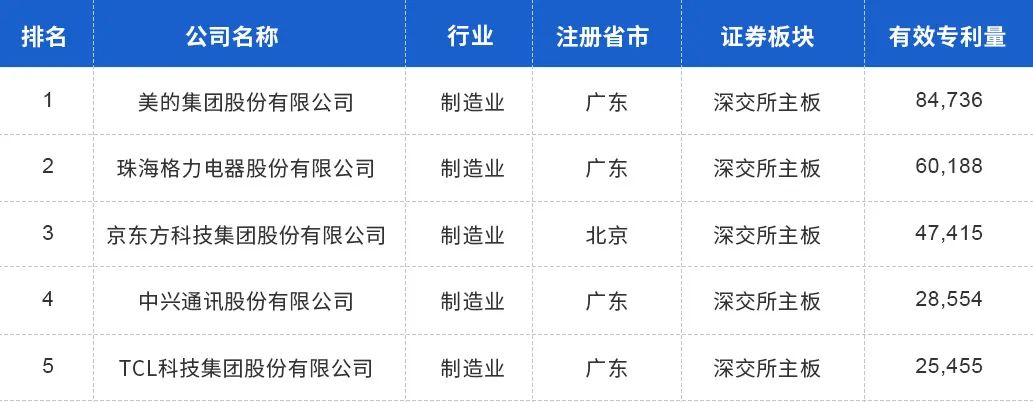 中國上市公司有效專(zhuān)利排行榜TOP100