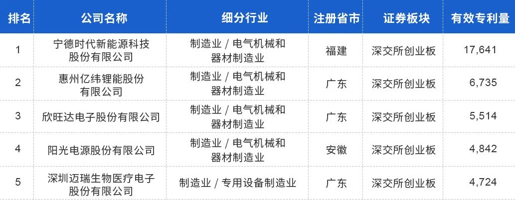 中國上市公司有效專(zhuān)利排行榜TOP100