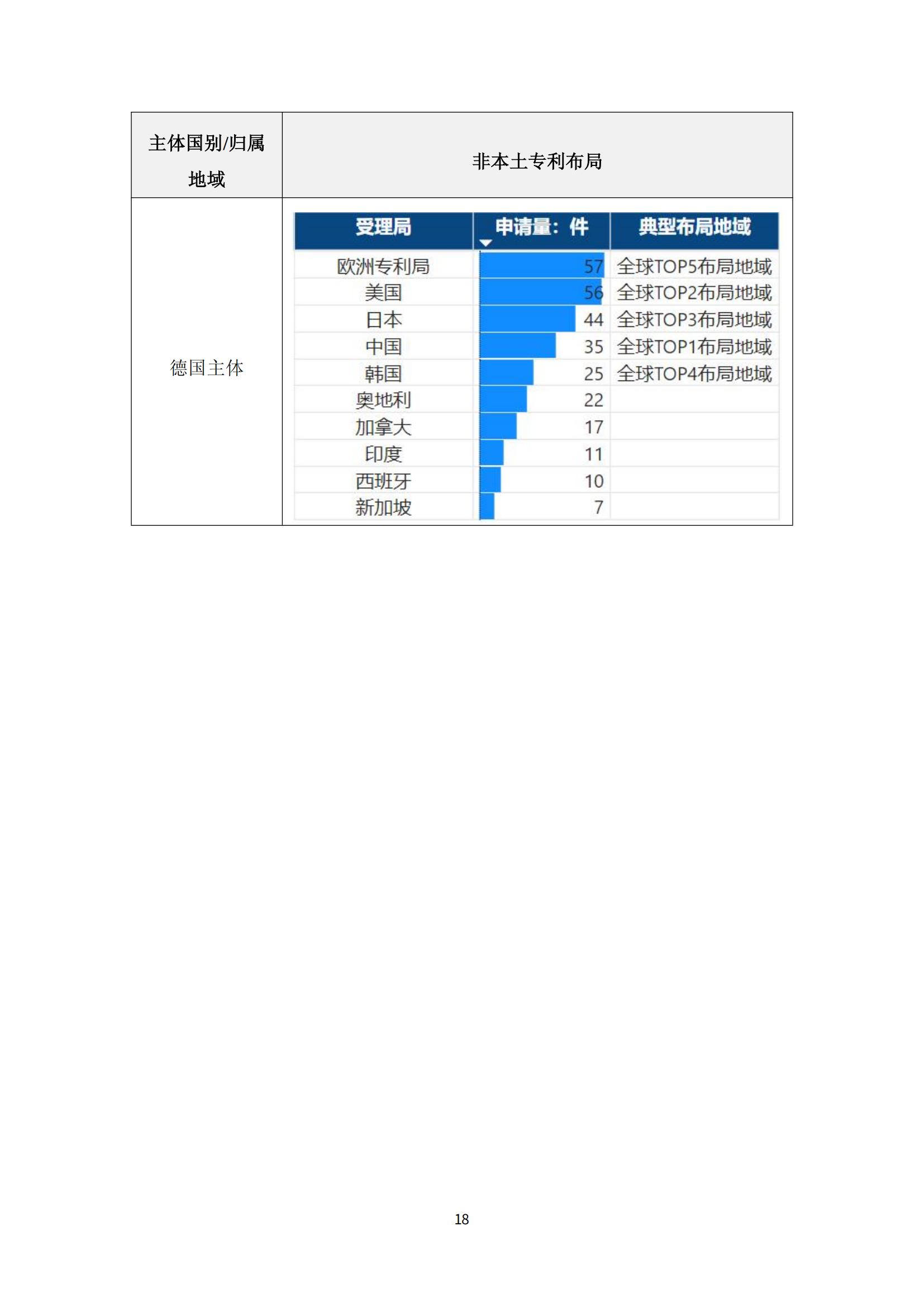 納米陶瓷產(chǎn)業(yè)海外專(zhuān)利預警分析報告_22