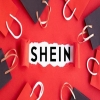 從程序到實(shí)體的多輪攻防：SHIEN.COM域名案獲勝紀實(shí) 