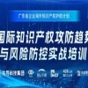 報名中！廣東省企業(yè)海外知識產(chǎn)權護航計劃——國際知識產(chǎn)權攻防趨勢與風(fēng)險防控實(shí)戰培訓，期待您的參與！ 